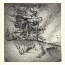 Humiseva harju tyovedos